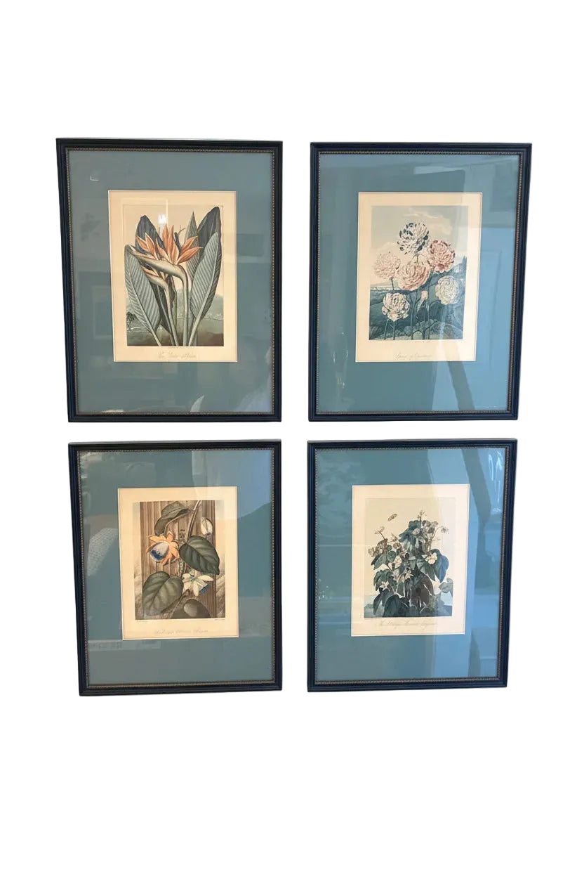 Set of 4 Hand-colored Flower Prints