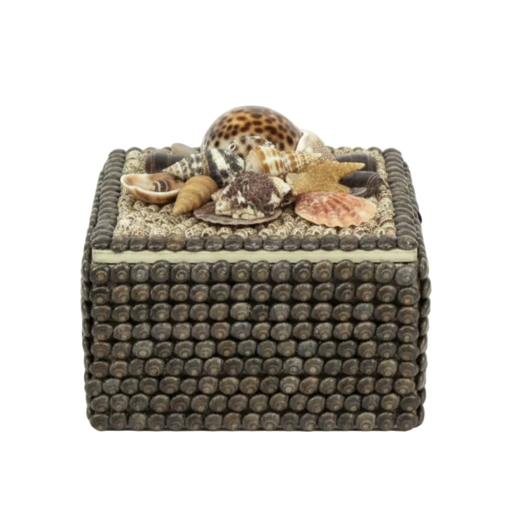 Black Pearled Umbonium Shell Box