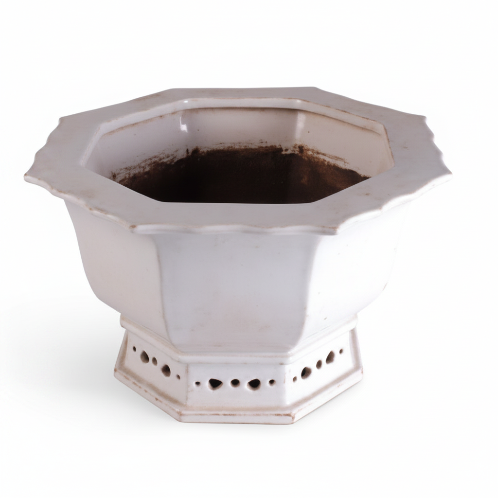 White Octagonal Planter