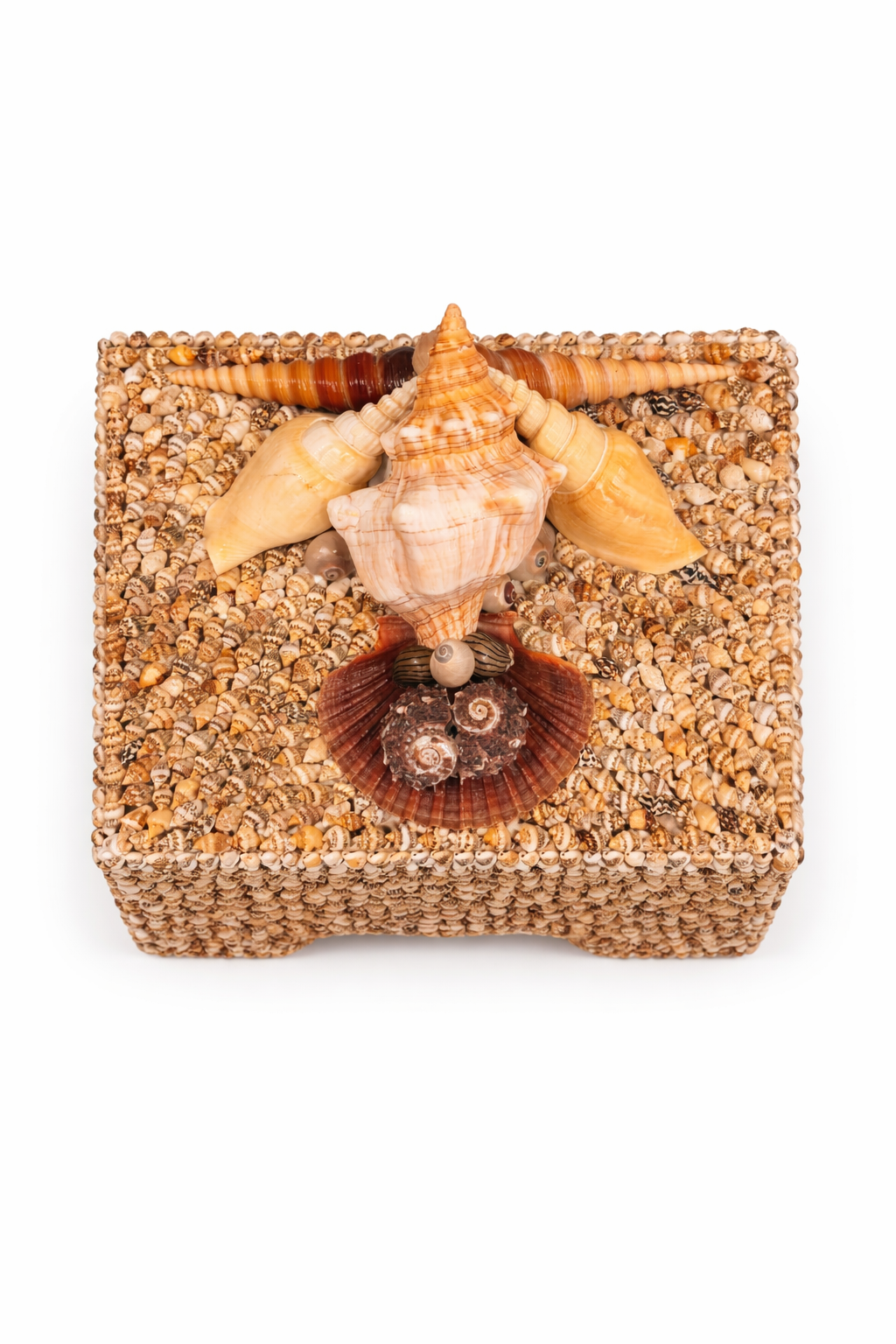 Island Shell Box