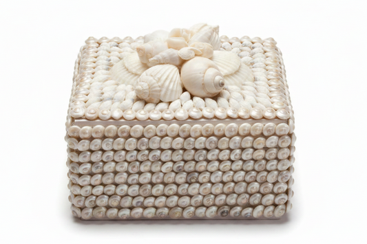 White Pearled Umbonium Shell Box