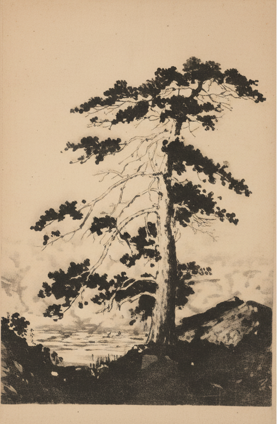 Antique Etching