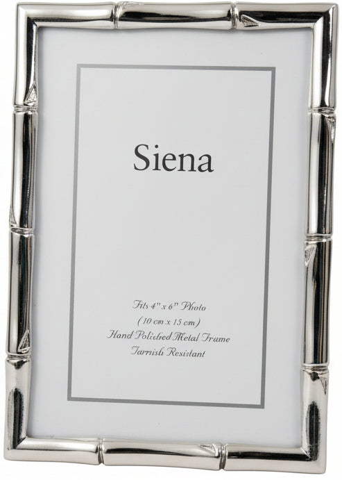 Polished Silver Plate Bamboo Frame